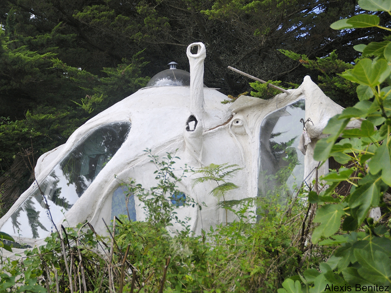 Kerterre, dans la nature