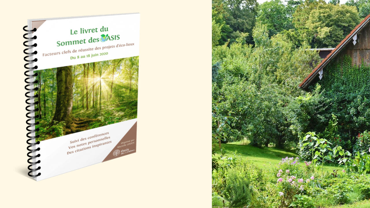 Sommet des oasis