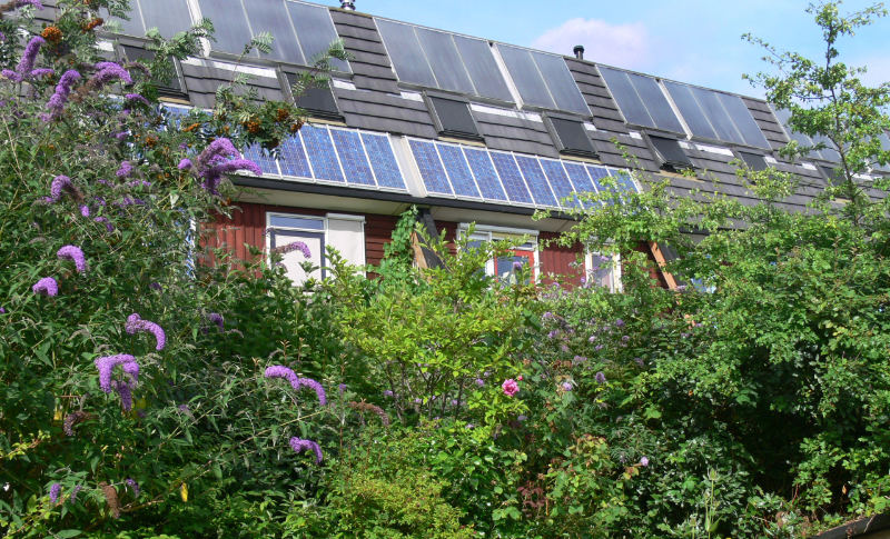 Portrait de la maison écologique idéale